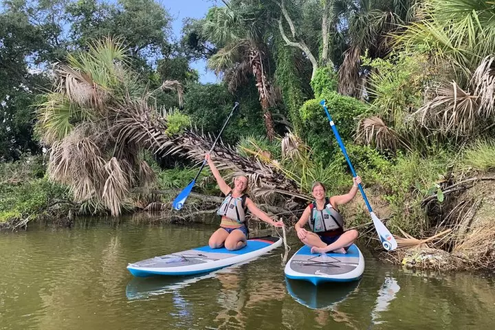 Wildlife Refuge Dolphin, Manatee & Mangrove Kayak or Paddleboarding...