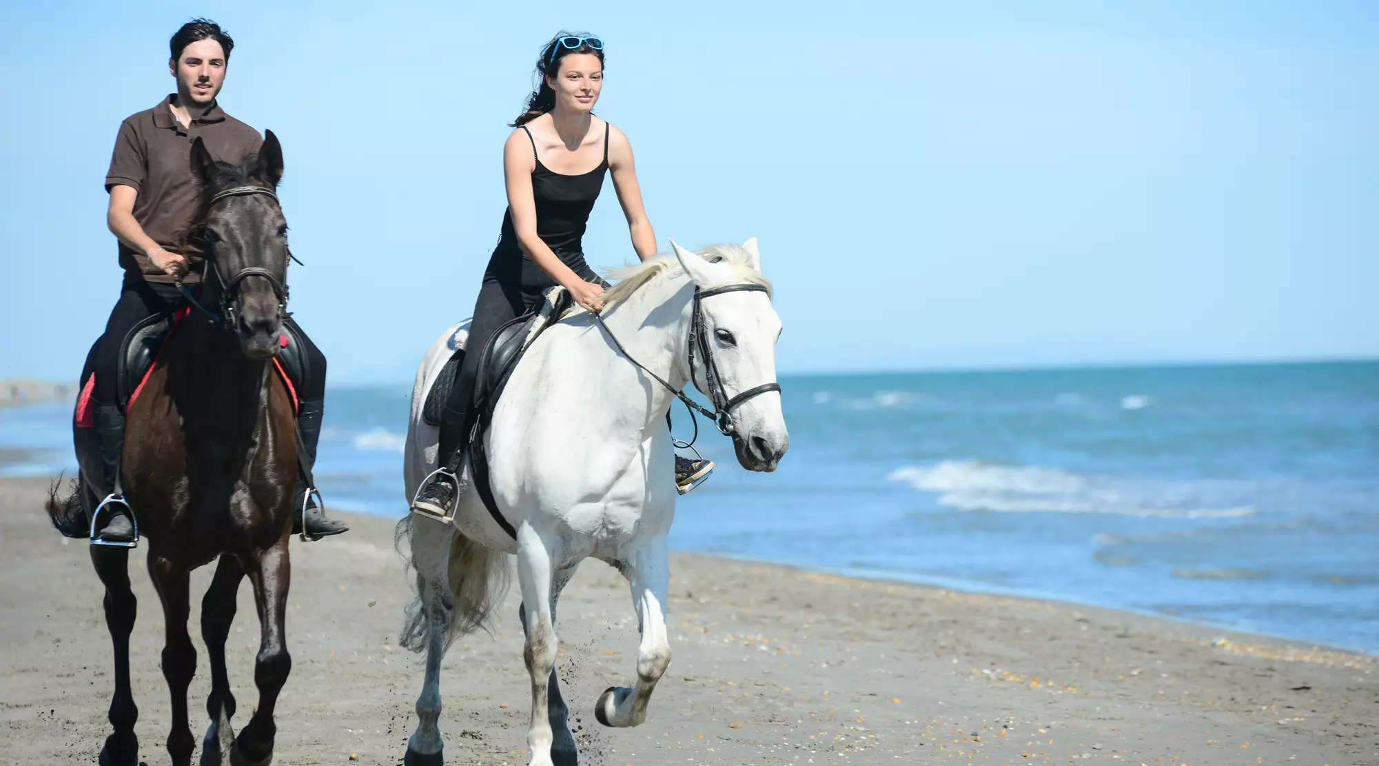 One-Hour Horseback Trail Ride in San Diego - Primary Image