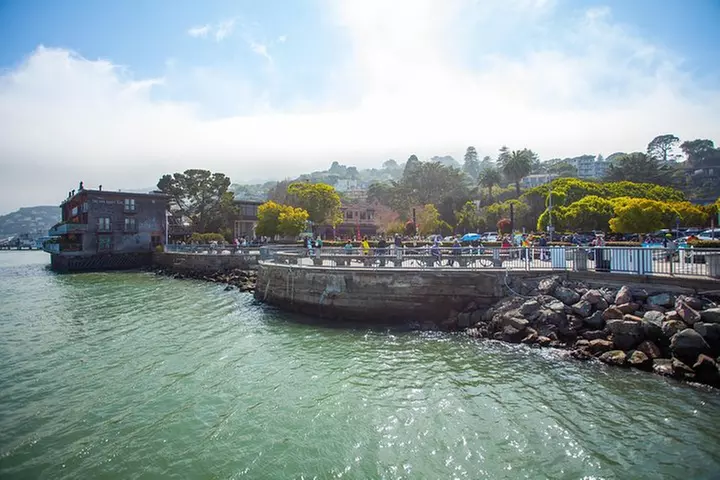 Muir Woods and Sausalito Tour Plus Bay Cruise