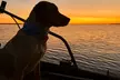 Private Dolphin Watch and Sunset Boat Tour Port Aransas Texas - Second Medium