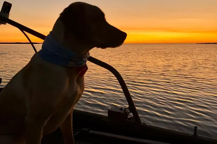 Private Dolphin Watch and Sunset Boat Tour Port Aransas Texas