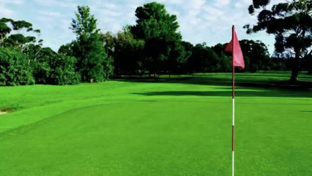 Online Booking - Round of Golf at Citrus National Golf Club - Primary Image