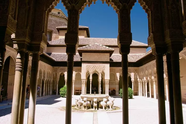 Visita guiada al Palacio de la Alhambra y Carlos con palacios nazar...