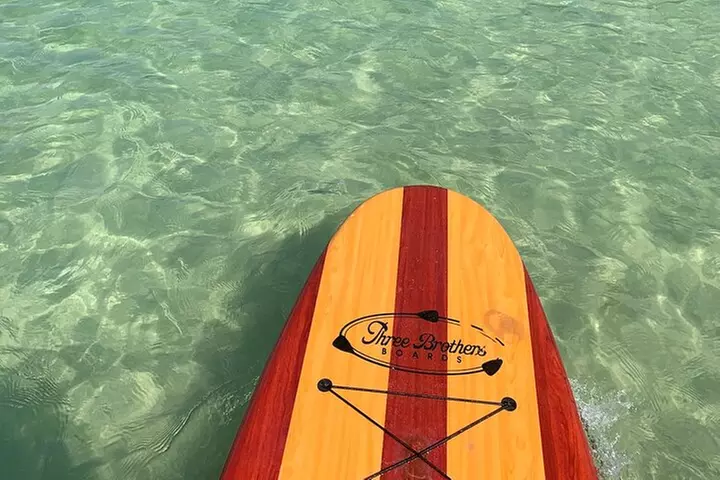 Dolphin and Manatee Adventure Tour of Naples with Florida History