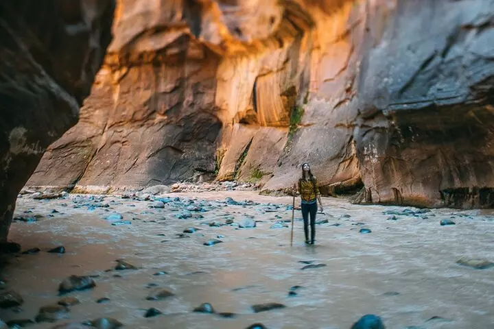 Zion Full Day Private Tour & Hike