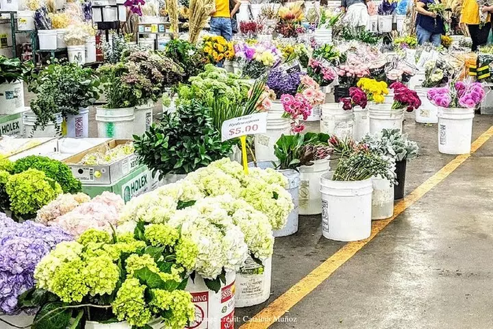LA's Fashion & Flower District: Private Half-Day Walking Tour - Primary Image