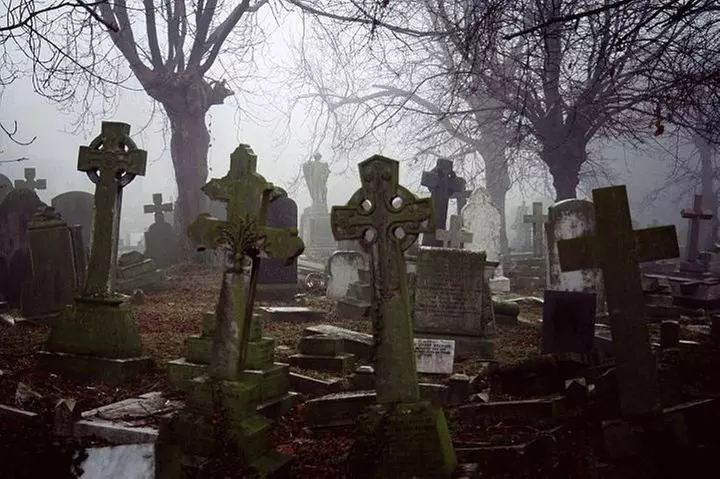 Cemetery and Ghost BYOB Bus Tour in New Orleans