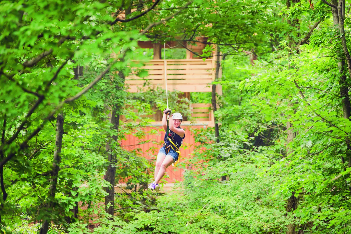 $74.50 For A 2-Hour Treetop Zip Tour (Reg $149) - Second Medium
