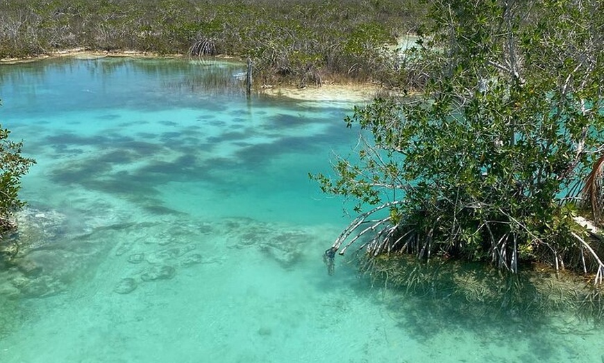 Image 10: Rapids EN Bacalar Tour from Cancun and Riviera Maya