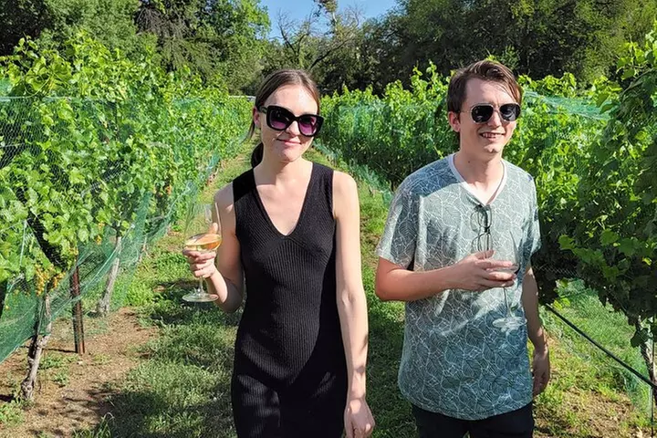 Private Wine Tour, Voted best in town, Tastings Included!