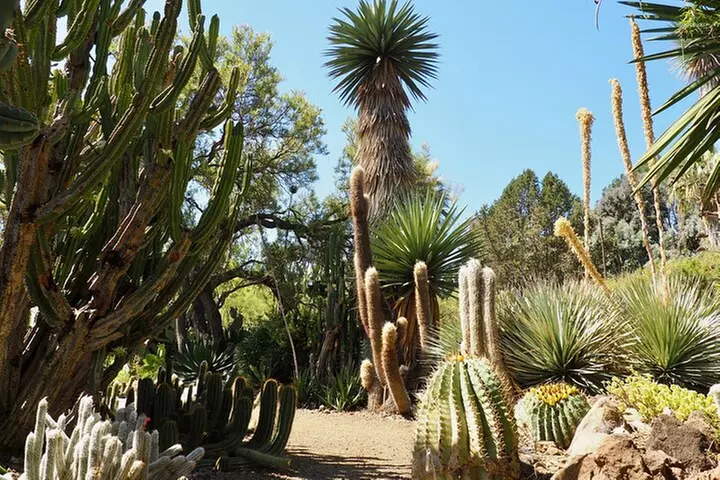 Ruth Bancroft Garden General Admission Ticket