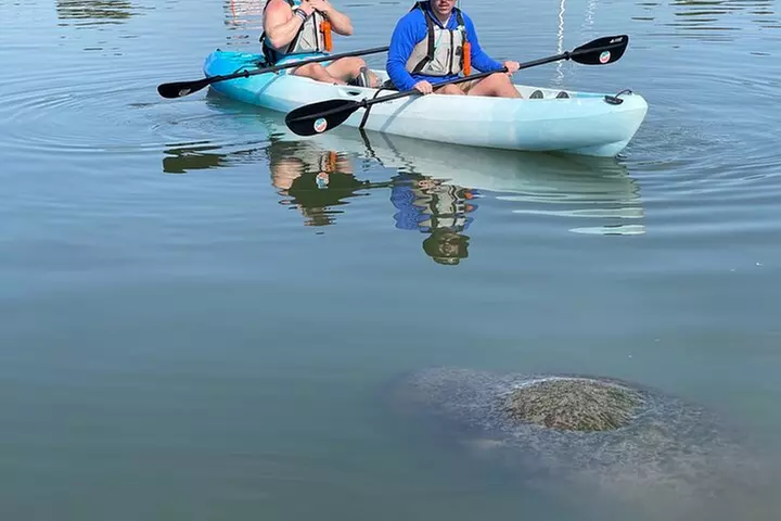 Wildlife Refuge Manatee, Dolphin & Mangrove Kayak or Paddleboarding...