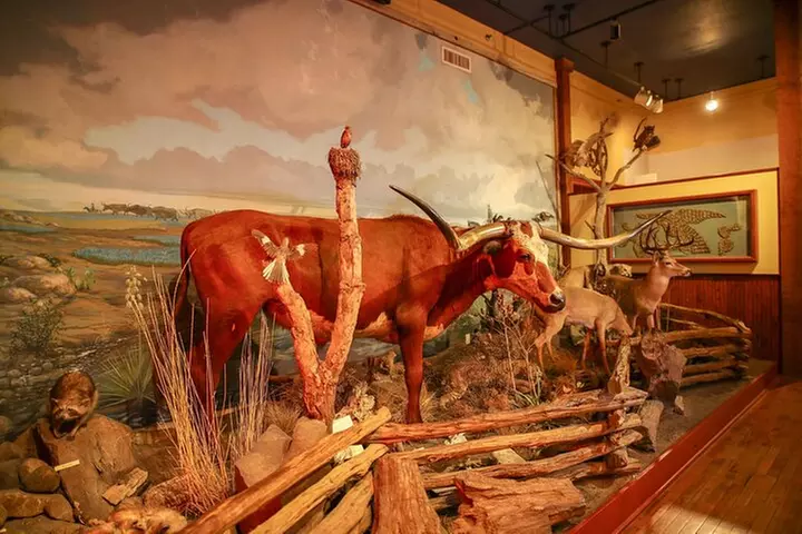 The Buckhorn Saloon & Museum and Texas Ranger Museum Admission