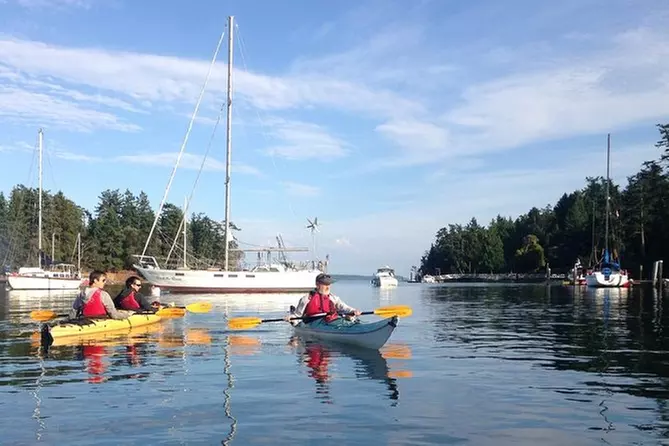 Kayak Tour of Gulf Islands - Primary Image
