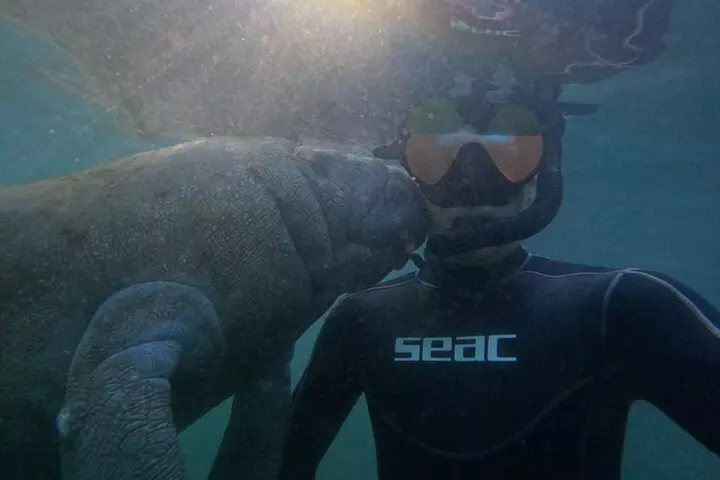 3 Hour Manatee Swim - Small Group w/complimentary photos!