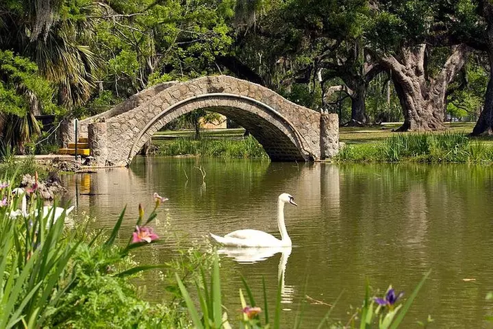 New Orleans City and Cemetery 2-Hour Bus Tour