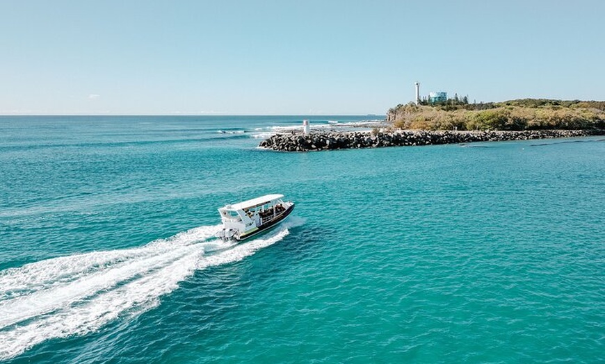 Image 5: Adventure Rafting - Mooloolaba Turtle Tour