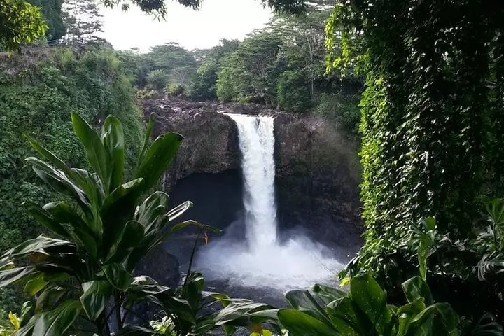 Hilo Highlights: Waterfall & Local Secrets on a Short Excursion