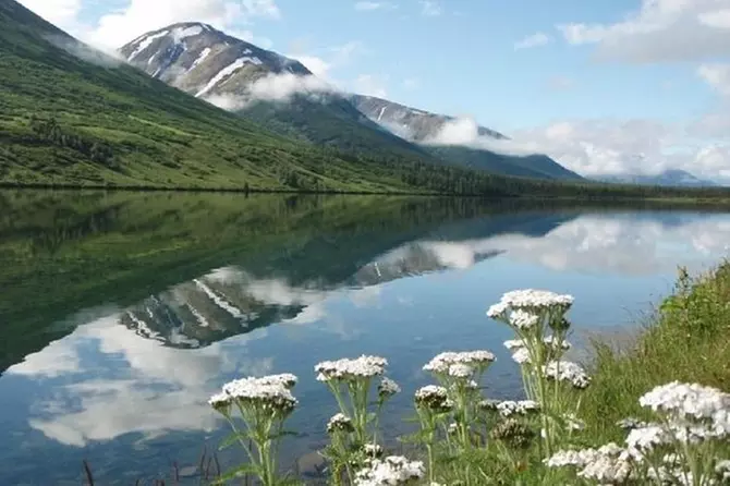 Seward to Anchorage (Large Group) - Primary Image