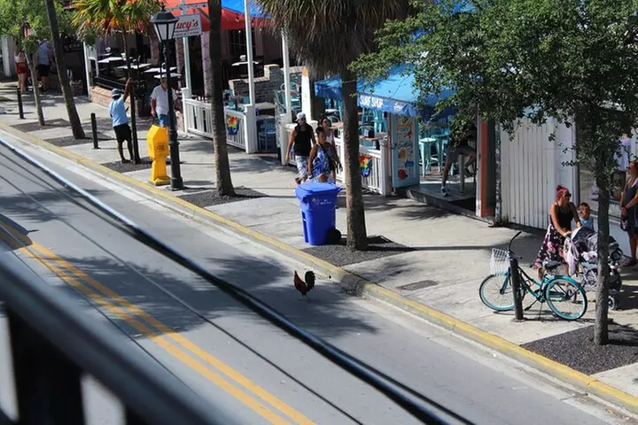 Sun, Snorkel & Sip : Key West Day Trip from Miami