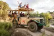 Classic Safari Adventure at Safari West - Second Medium