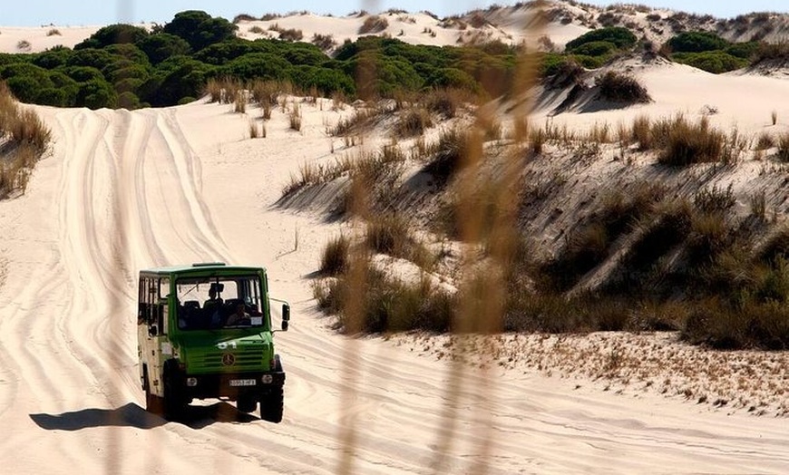 Image 3: Excursión de un día a caballo o en 4x4 en el Parque Nacional de Doñana