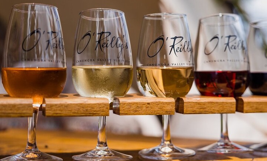 Image 7: Lamington Day Tour O'Reilly's Treetop, Wildlife and Wine Tasting