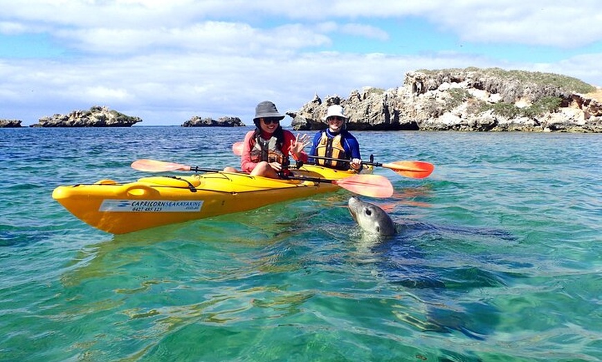 Image 1: Penguin and Seal Islands Sea Kayaking Experience