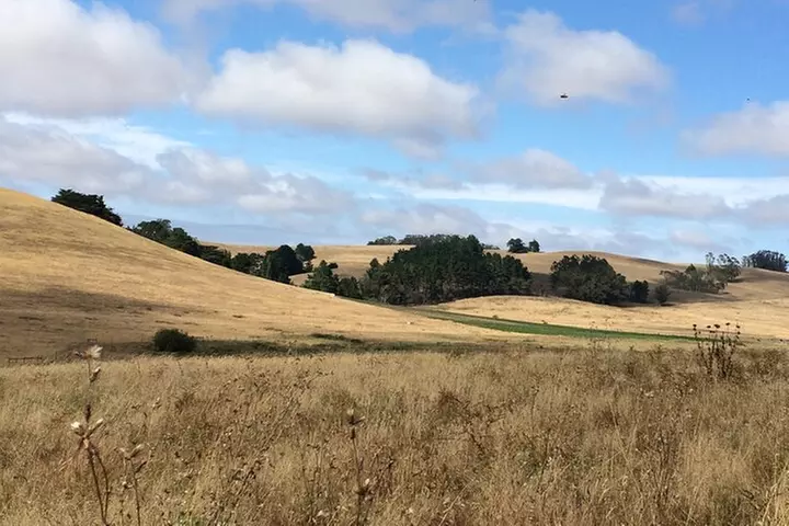 Cow Heaven: An Agricultural Self-Guided Driving Tour