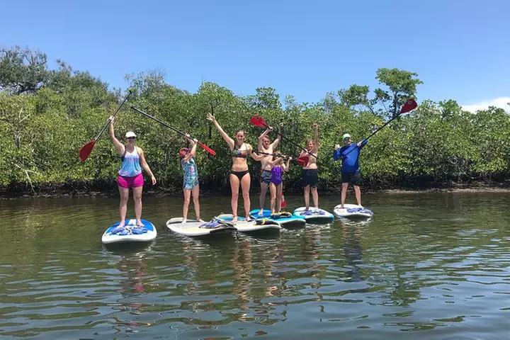 Paddle Boarding Rentals