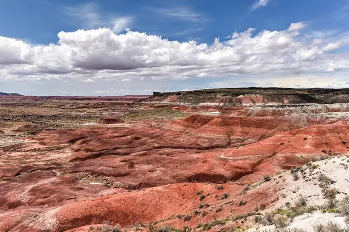 Petrified Forest National Park Self-Guided Driving Audio Tour