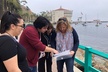 Fantastic Catalina Race - Second Medium
