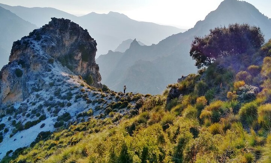 Image 7: NUEVO:Sunset Hike & Summit Sierra Nevada - Tour privado con cachorro