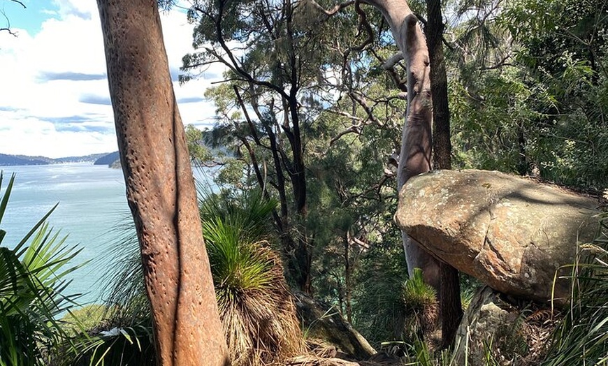 Image 15: Sydney: Ku-ring-gai Chase National Park with Hike, Swim, Picnic