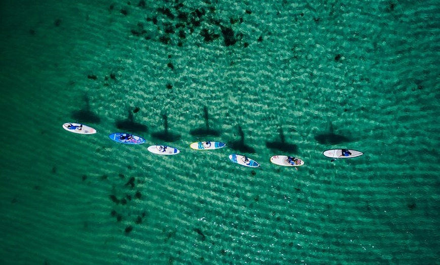 Image 3: Stand Up Paddle Board Experience on Pristine Gnarabup Bay