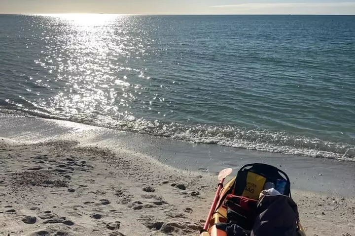 Exclusive Kayak Expedition: Exploring the Mangroves to Shell Key