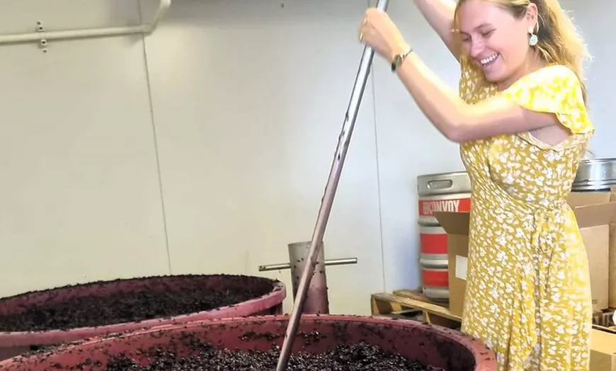 Image 2: Small Group Hunter Valley Wine Tour + Lunch, Gin & Choc ex Sydney