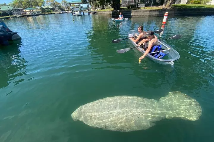 Crystal River Three Sisters Springs and Manatee Clear Kayak Tours