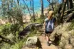 Sydney: Ku-ring-gai Chase National Park with Hike, Swim, Picnic - Image 2