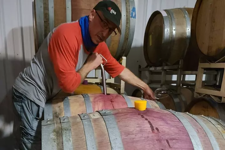 Willamette Valley Wine Tour with Lunch