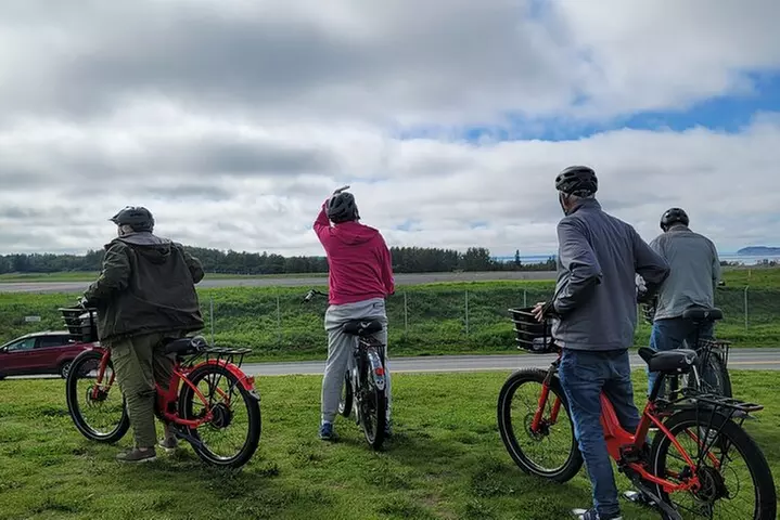 Viator Exclusive: Go eBike Alaska on Tony Knowles Trail