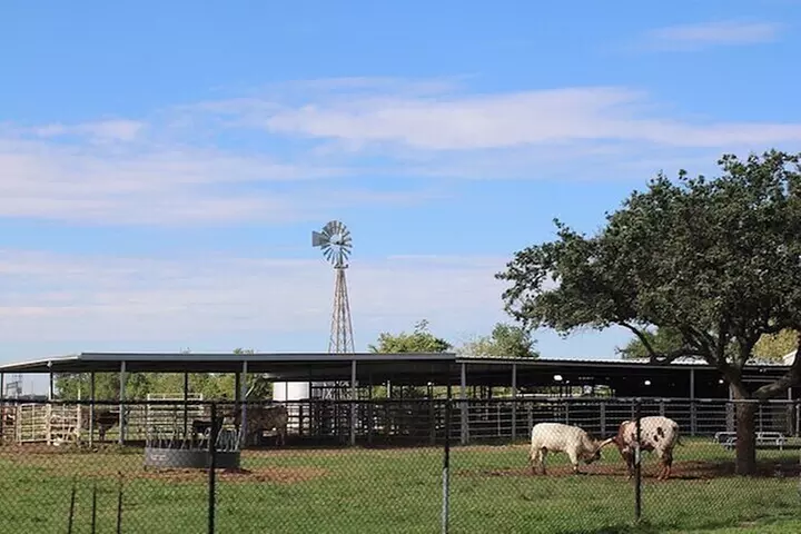 Houston NASA Space Center Ticket & Transport (With Expert Guide)