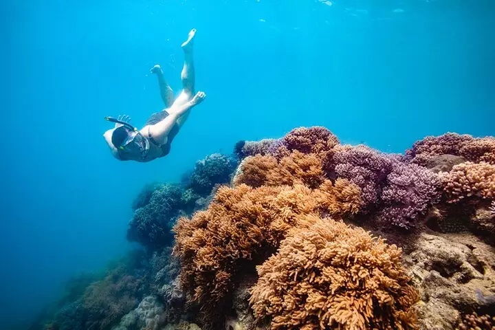 Whitehaven Beach and Hill Inlet Lookout Snorkeling Cruise