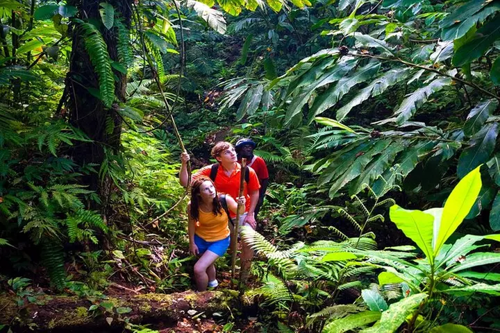 Waterfall, Rainforest, Chocolate Tour & Historical Sites
