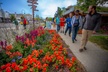 Downtown Anchorage FOOD & HISTORY Walking Tour OUR MOST POPULAR! - Second Medium