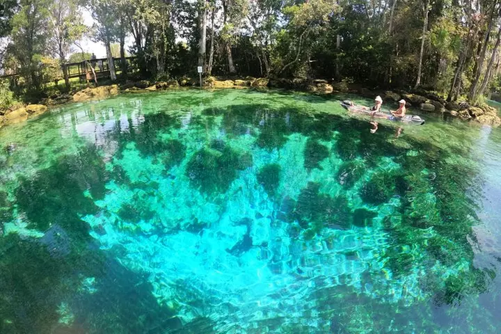 Clear Kayak Three Sisters Springs & Manatee Tour Of Crystal River