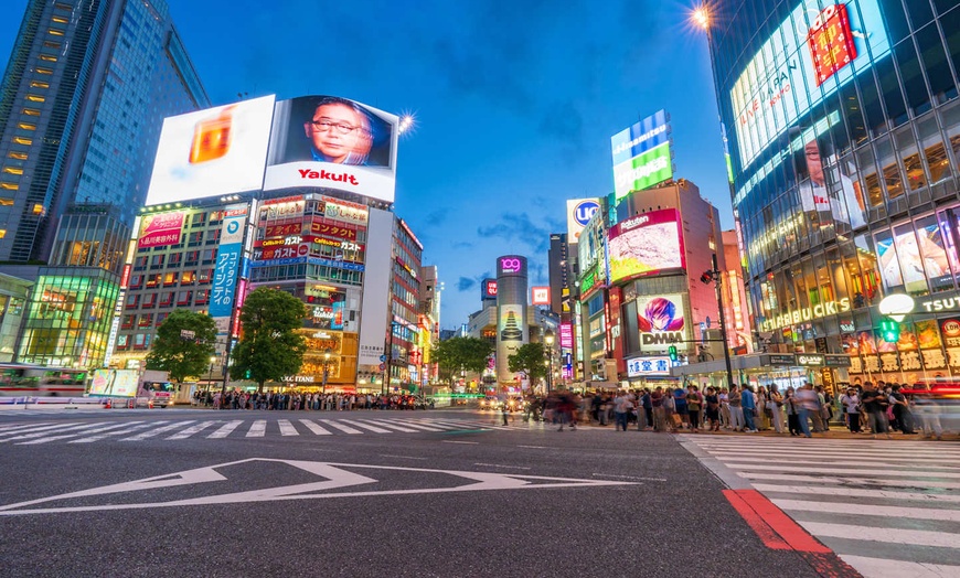 Image 6: ✈ JAPAN | Von Tokio nach Osaka - Das Wesentliche von Japan auf eige...