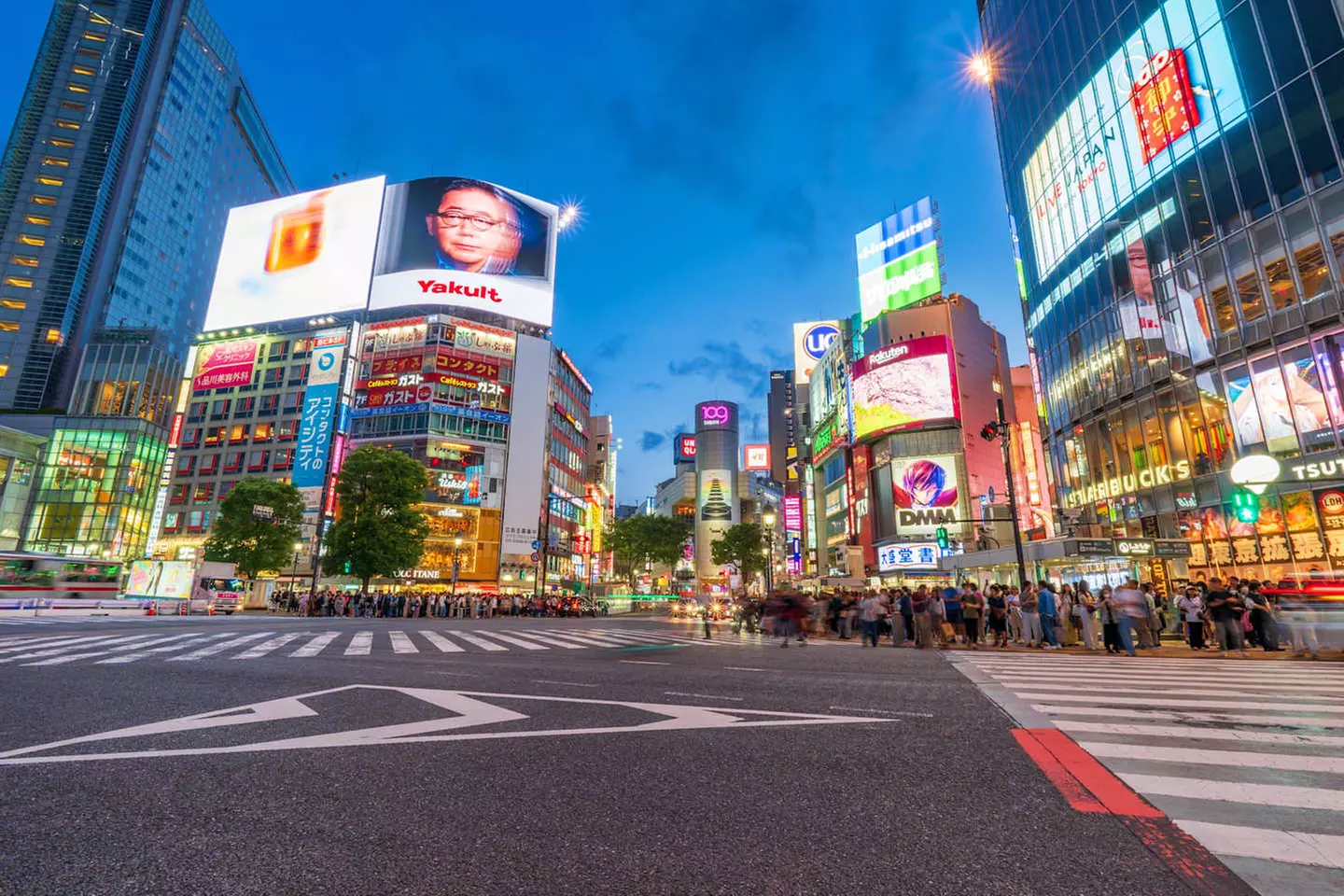 ✈ GIAPPONE | Da Osaka a Tokyo - Kyoto - Hakone - Tokyo 3*, 9 notti ...