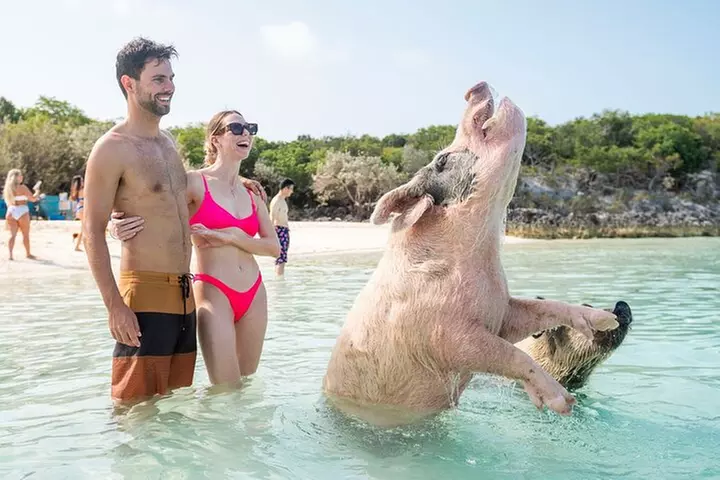 Exuma Elite Escape: Luxury Fly-In Pig Beach Adventure - 7 Stops - Primary Image