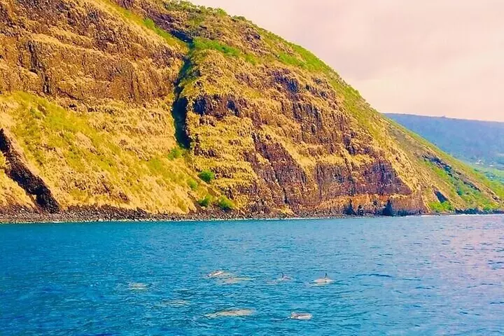 Dolphin, Sea Cave & Captain Cook Snorkel Combo in Kealakekua Bay